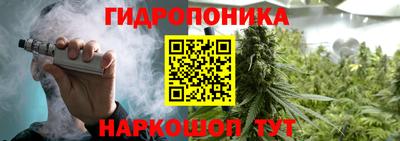 крисы Чебоксары